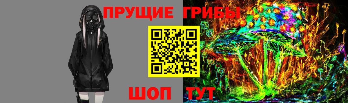Псилоцибиновые грибы Psilocybine cubensis  Вход с VPN  Галлюциногенные грибы GOLDEN TEACHER  Заволжье 