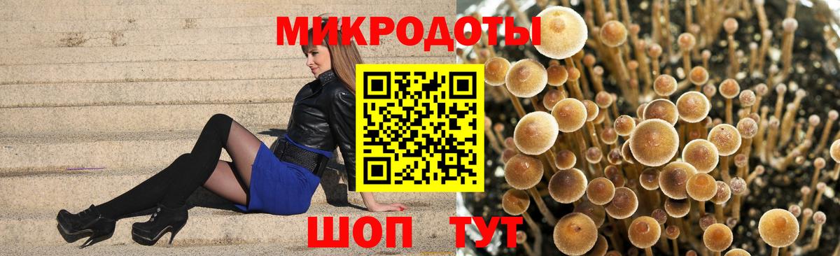 Псилоцибиновые грибы Magic Shrooms Заволжье
